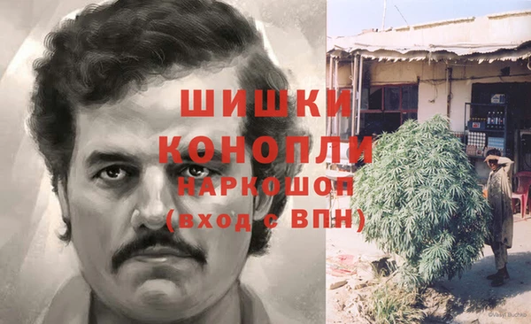 круглые Белокуриха