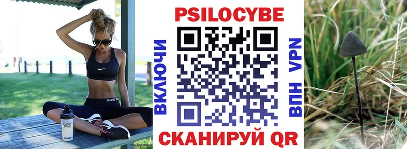 Галлюциногенные грибы GOLDEN TEACHER  Купить  Новоуральск 