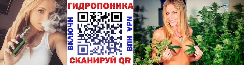 Бошки Шишки план Новоуральск